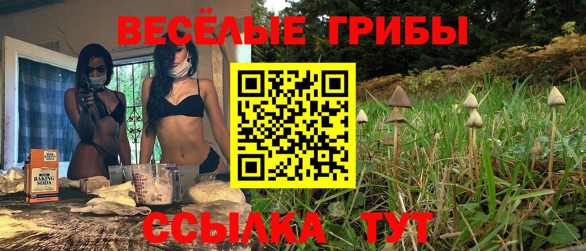 Шали  Псилоцибиновые грибы ЛСД  Вход с VPN 